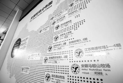 现代牧业公司在全国的养殖场分布图。 本报特派记者 徐楚云 摄 现代牧业公司在全国的养殖场分布图。 本报特派记者 徐楚云 摄